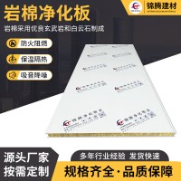 機制巖棉凈化板夾芯板金屬巖棉復(fù)合板實驗室凈化工程阻燃板材